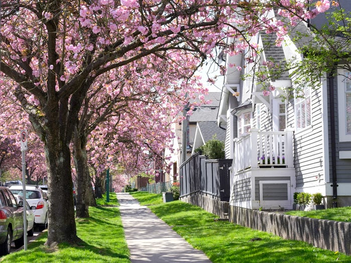 where-to-stay-vancouver-budget | Slashed Beauty Best Area to Stay in Vancouver: Air BnB in North Vancouver | The Ultimate Budget Travel Guide to Vancouver | Slashed Beauty